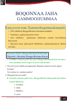 kutaa 8ffaa.pdf